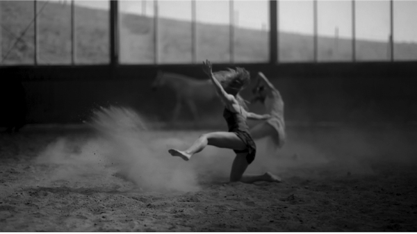 1st prize_2011_Klaus Dilger_rehorsals - getting horses used to dance_(c)Klaus Dilger